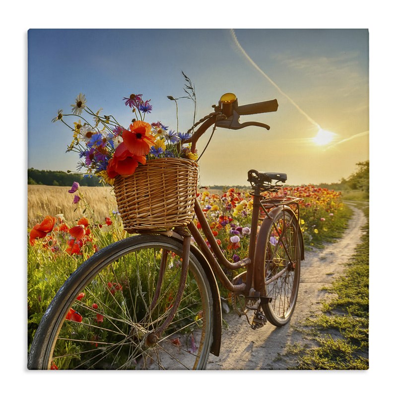 Flower Stop Bicycle Canvas Wall Art by Alina Georgescu bp-798_CN, H 36 po x l 36 po