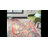 Isabea Performance Oriental Rug-401457995