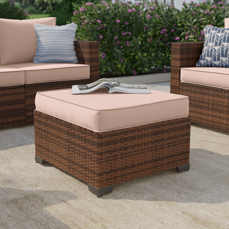 Poufs de jardin en osier avec coussins (paquet de 2), Beige