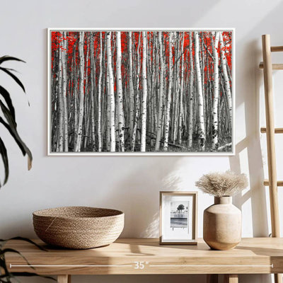Forêt de bouleaux rouges