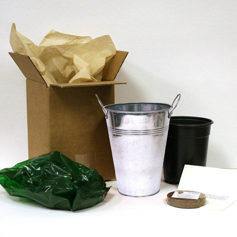 Paper Seed Kit with Artisan Decorative Planter