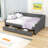 Full Upholstered Daybed with Two Drawers-1567049693