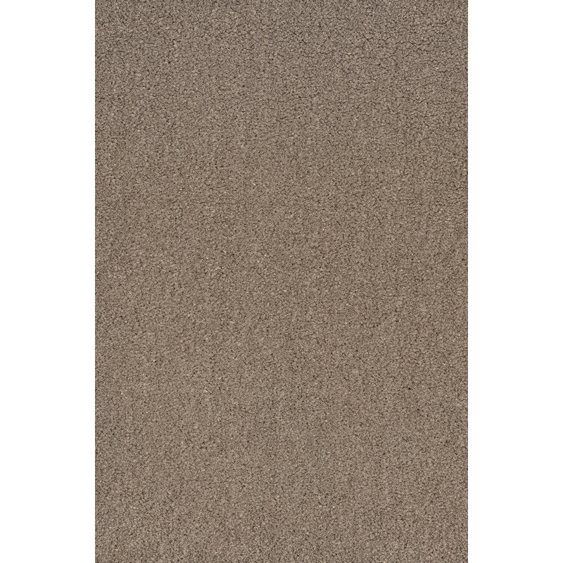 Tapis d'intérieur / extérieur Kalonni, L 24 po x L 36 po, Taupe