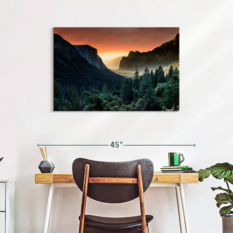 «Harnek Forest Last Light», H 24 po x l 36 po