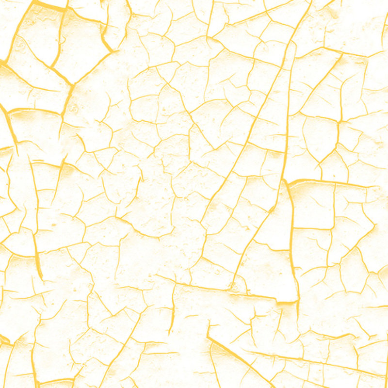Nielsville 2.5m x 52cm Matte Paste the Wall Wallpaper Roll, Yellow