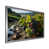 Silver Single Picture Framed