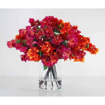 Bougainville dans un vase