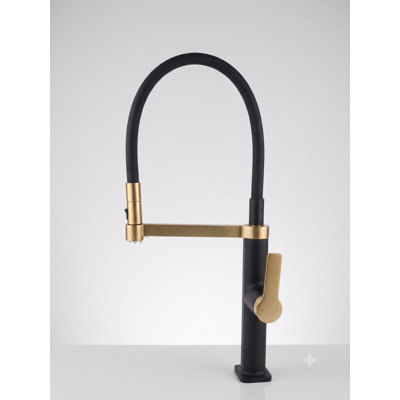 Noir avec or brossé - Grand robinet de cuisine à double jet 21 po