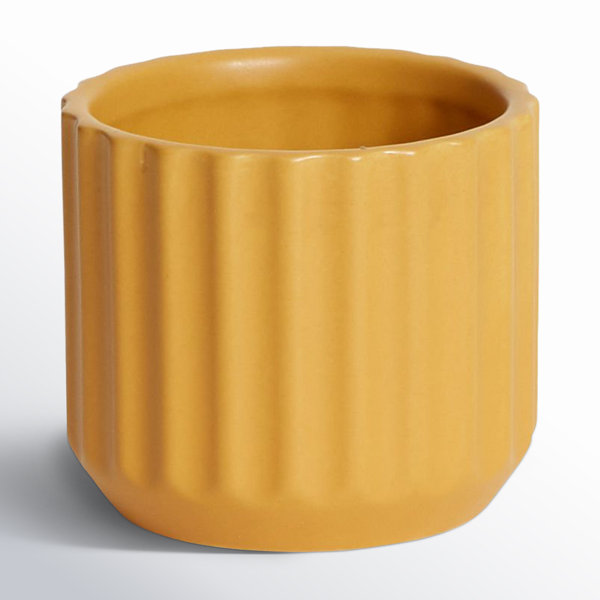 Evie Handmade Ceramic Pot Planter