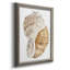 Coquillage I - reproduction d'art sur toile-799207407