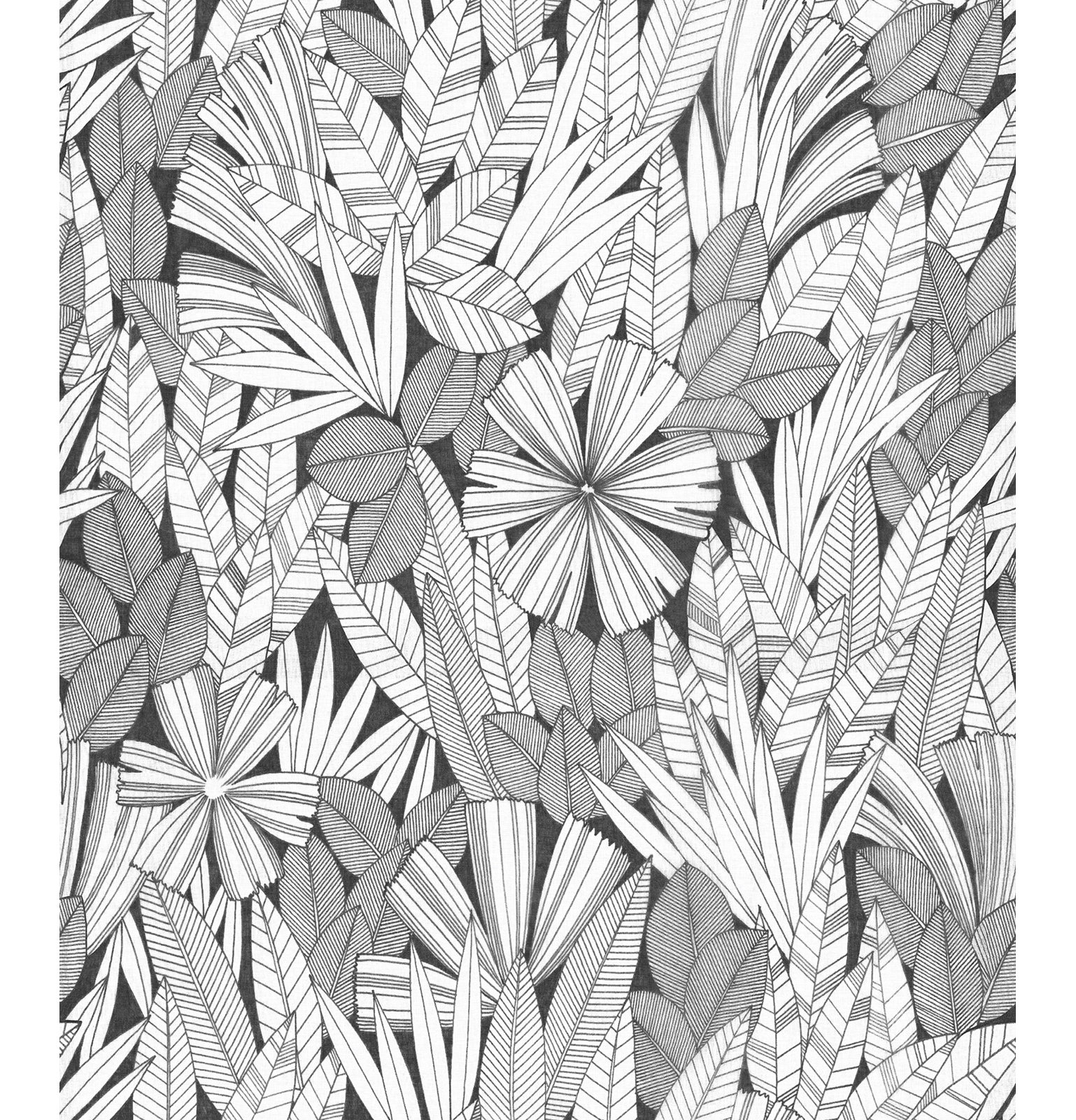 Avellana Botanical Wallpaper, Black