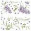 Adhésifs décoratifs géants lilas