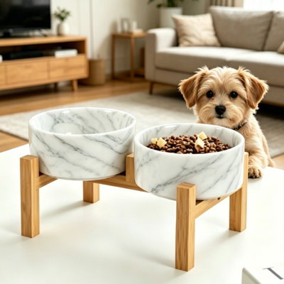 Elevated Double Ceramic Pet Bowl with Natural Bamboo Wood Stand, Anti-Tip Raised Dog Cat Food Water Feeder, Ergonomic Height Pet Dining Bowl to Protect Neck Spine