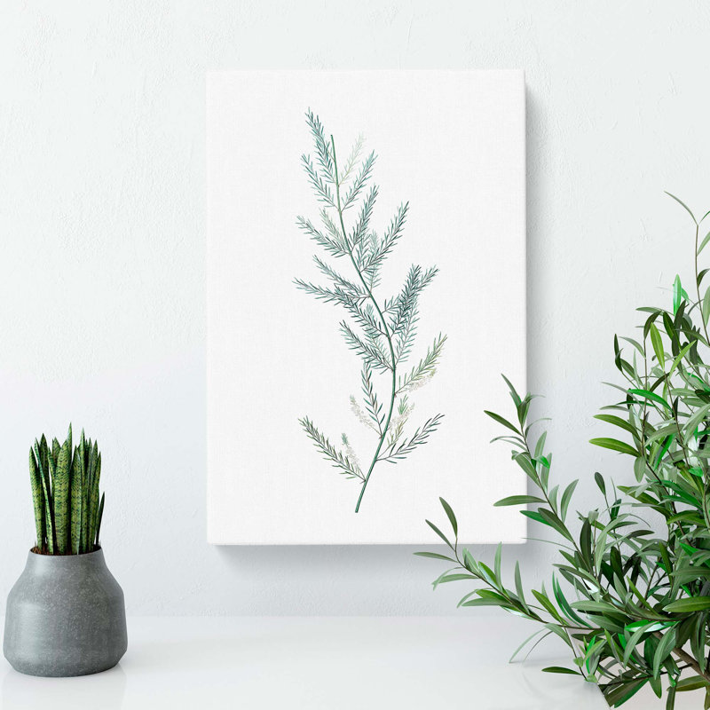 Asparagus Flowers by Pierre-Joseph Redoute - Wrapped Canvas Painting, 50cm H x 35cm W x 3cm D