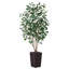 Adcock UV Protected Artificial Ficus Tree with Decorative Base, Faux Ficus Plant with Natural Trunk-1722551520-1722551526