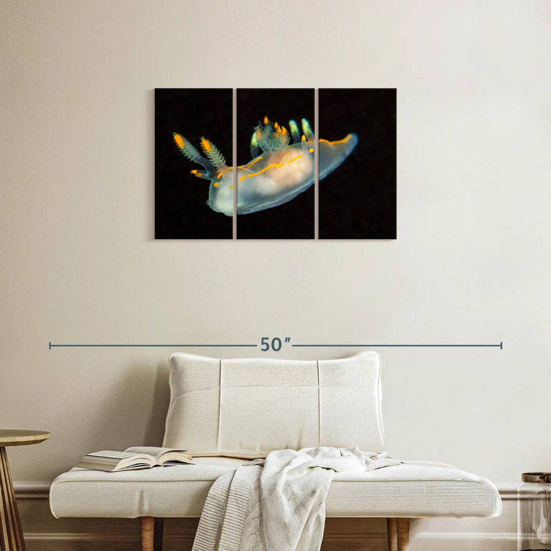 Sea Slug In Dark Waters