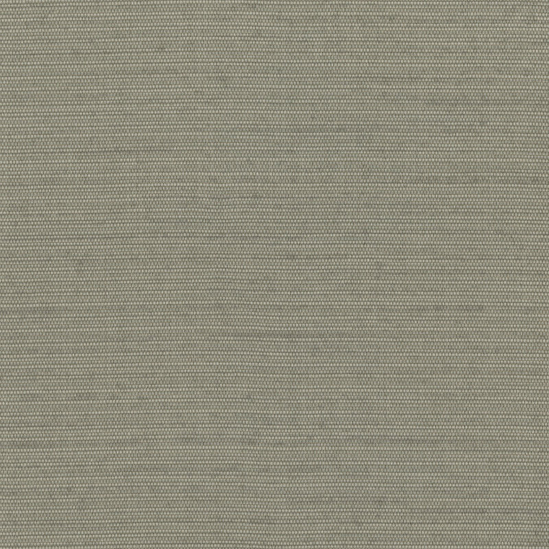 Rouleau de papier peint uni 27 pi x 27 po Texturall III, Gris