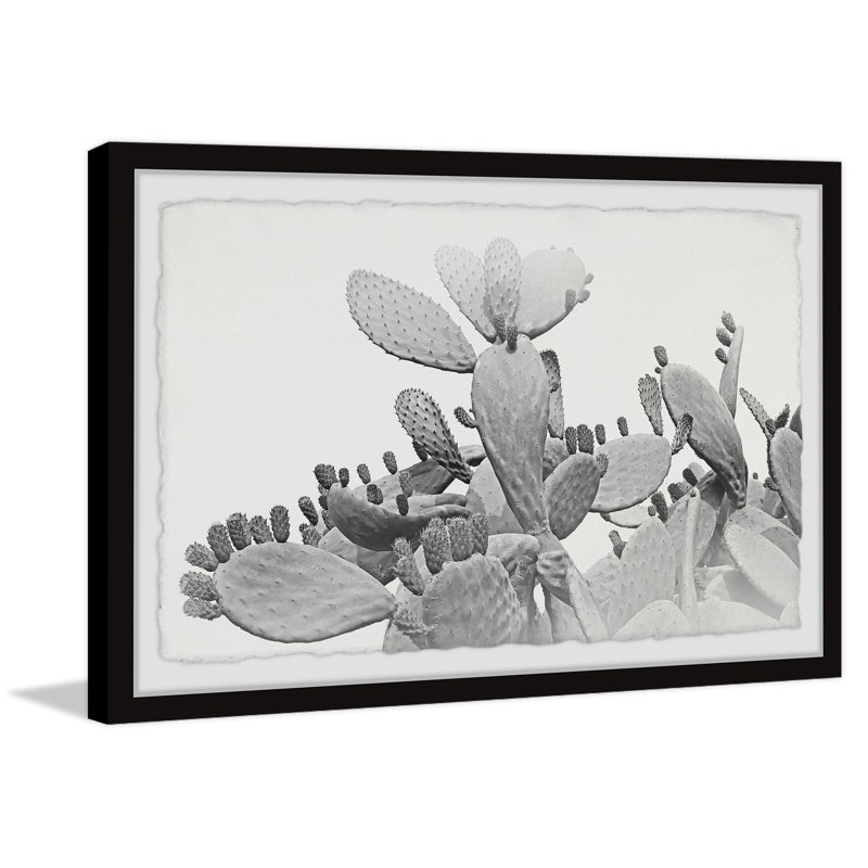 Bunny Ear Cactus - Single Picture Frame Painting, 20 cm H x 30 cm W