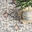 Guarani Oriental/Persian Machine Washable Area Rug for Living Room Bedroom Dining Room Kitchen-226527020