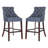 Balyon Upholstered Counter Stool-1659639505-1659639511