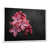 White Floater Framed