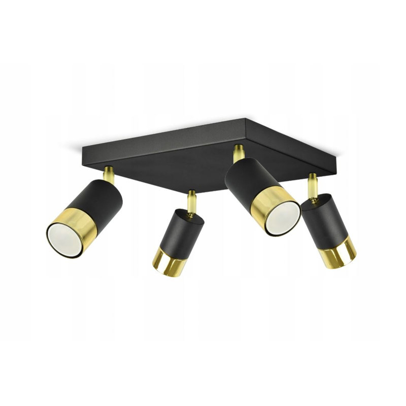 Alexey Spotlight, Black/Gold