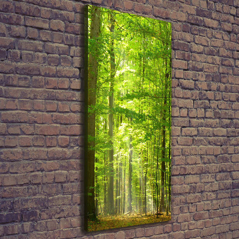 Beech Forest - Wrapped Canvas Print