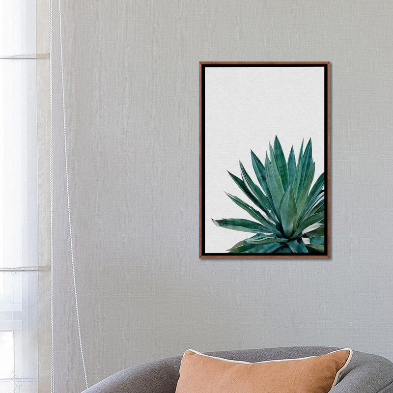« agave cactus »-impression photographie, Toile avec cadre en bois classique, H 26 po x l 18 po x 1,5 po