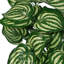 40cm Faux Plant in Pot Liner