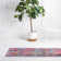 Floral Indoor Rug