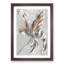 Tulip Flower by Johan Teyler - Framed Print-55615304-55615305