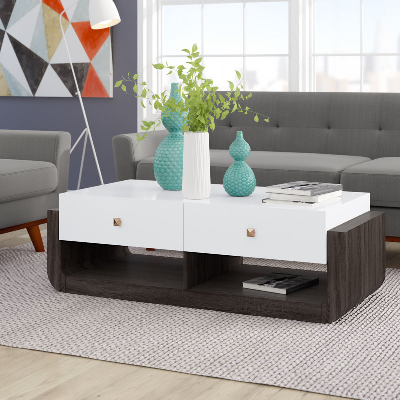 Ageus Floor Shelf Coffee Table with Storage