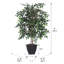 Mini buisson de 4 pi tous les jours-1001797122