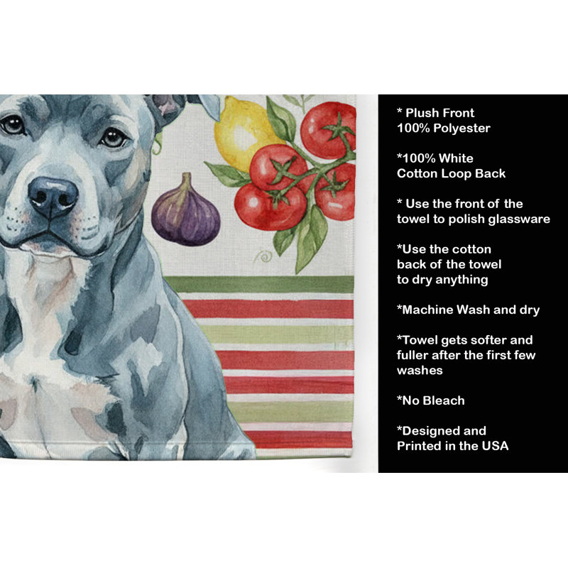 Torchon bleu American Staffordshire, Blue American Staffordshire Terrier