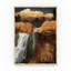 Croswell «Yellowstone National Park», impression sur toile tendue-25329640