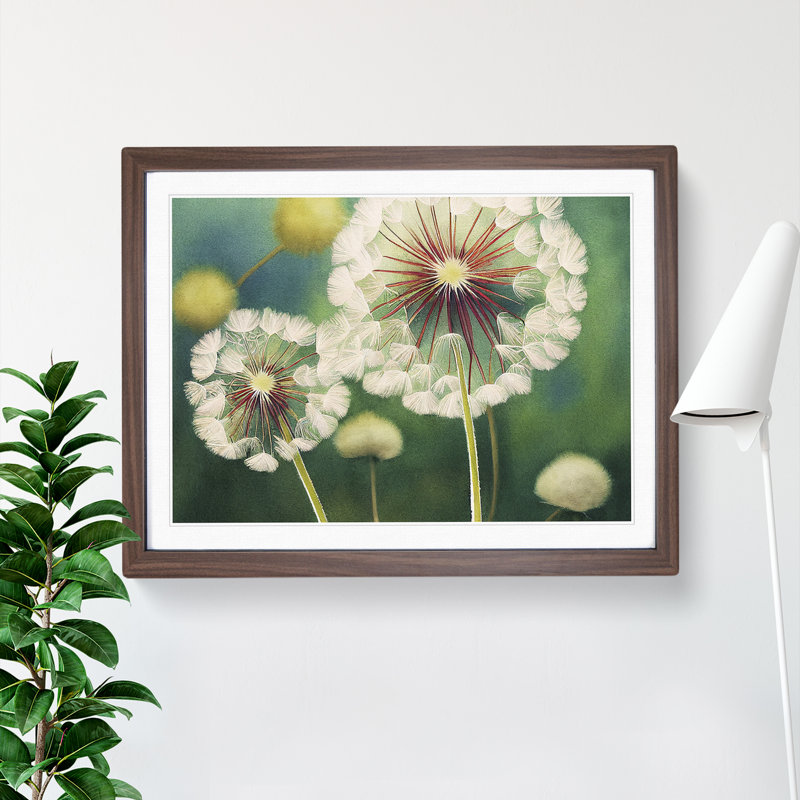 Glowing Dandelion Flowers - Single Picture Frame Print