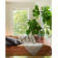 Couverture lestée en coton Baloo Living-100513724-101482744