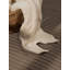 Wool Hand Tufted Area Rug-1611994244-1611994246