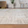 Echo Abstract Area Rug