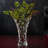 Crystal Laurus Vase 11"