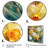 Ruban " Daffodils Elegance I "-1771517986-1771517985