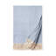 Celine Chevron Cotton Throw Blanket-47427148