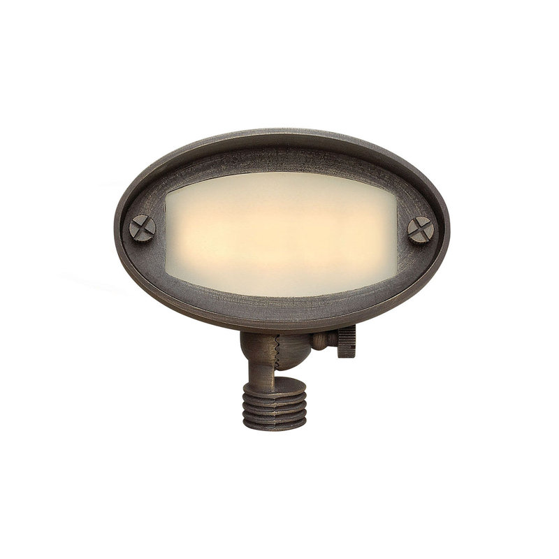 Rotating Hardy Island Matte Bronze LED Flood Light with Ground Spike
