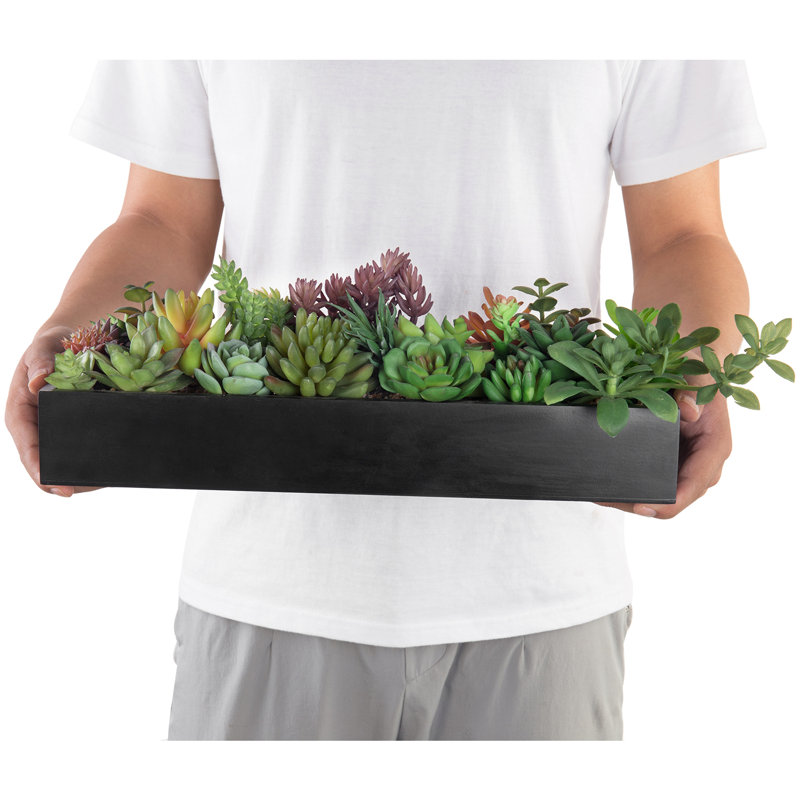 6 " H Faux Succulent