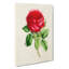 Illustration of a Red Rose - Wrapped Canvas-55359484