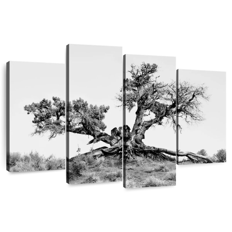 Harnek Arizona Desert Tree
