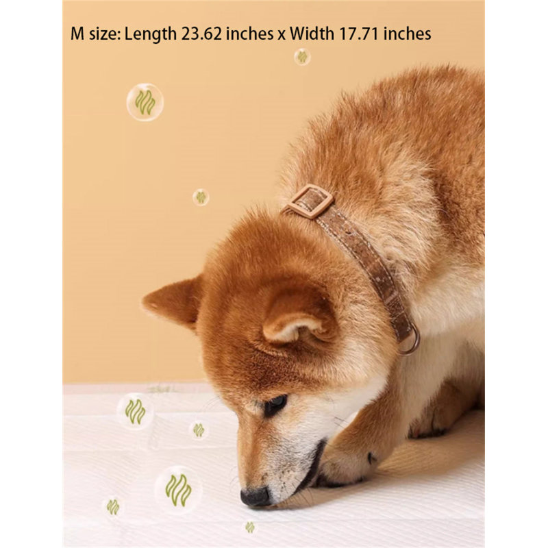Tapis pour chien (ensemble de 50)