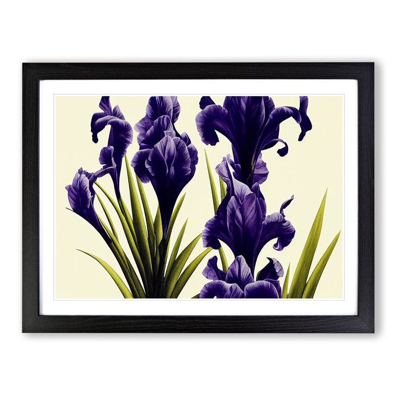 Desirable Iris Flowers - Single Picture Frame Painting, 25cm H x 34cm W x 2cm D, Black