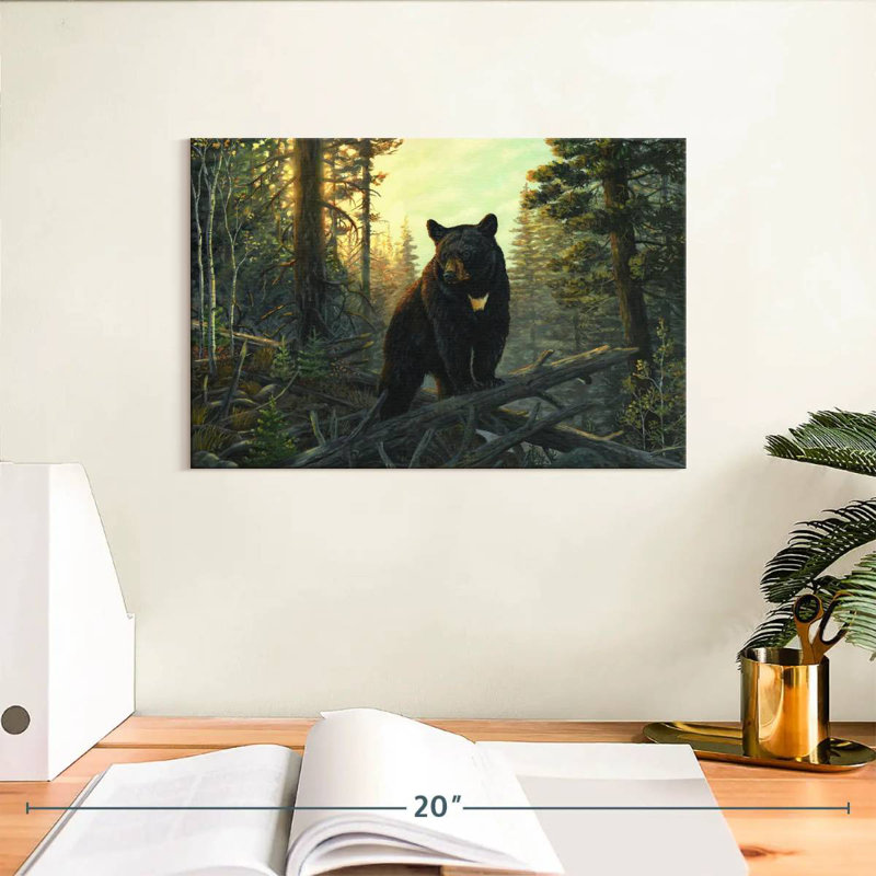 Brampt Black Magic Bear, 8" H x 12" W