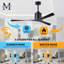 Molly 56" Ceiling Fan-2041308018-2041308016